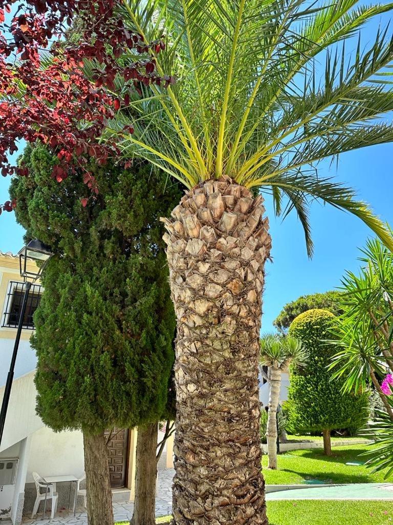 Casa De Emilia Vera Coast Playas de Vera Екстер'єр фото