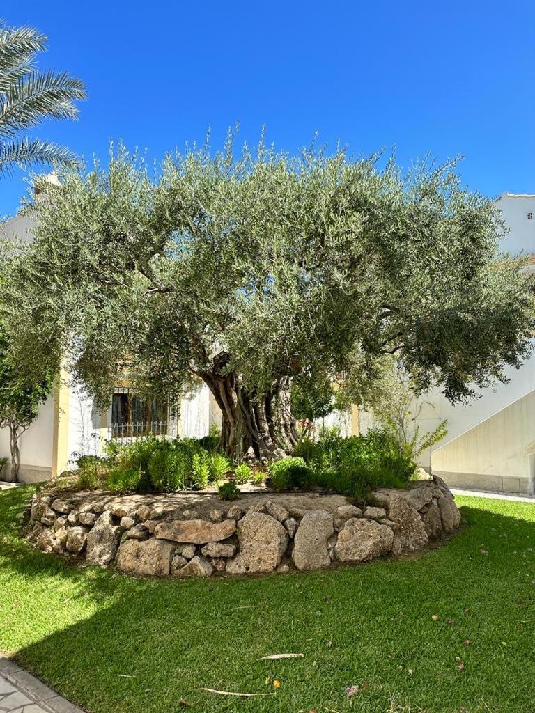 Casa De Emilia Vera Coast Playas de Vera Екстер'єр фото